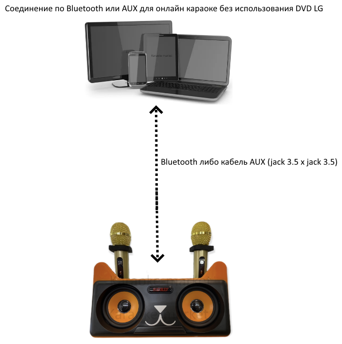Беспроводная стерео караоке система sdrd SD-305 с двумя микрофонами